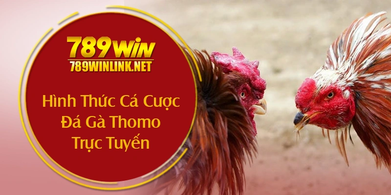 Hình Thức Cá Cược Đá Gà Thomo Trực Tuyến